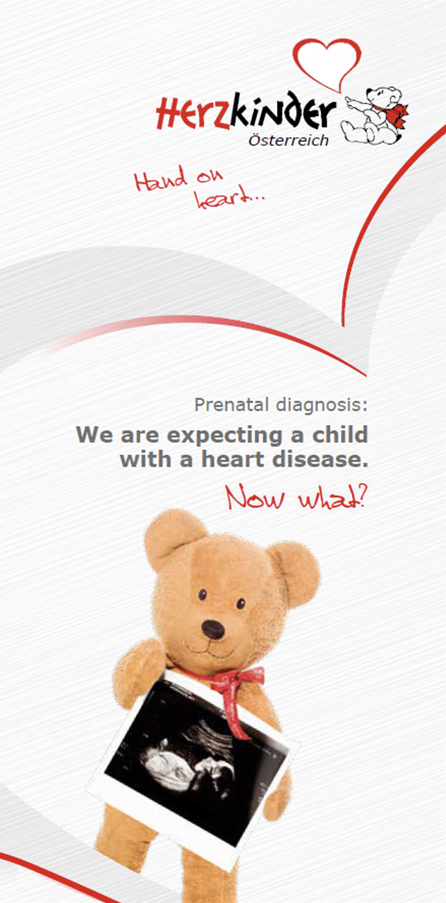 Prenatal Diagnosis Folder